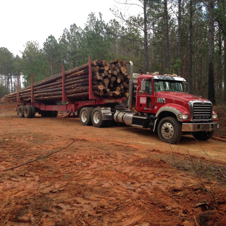 Gallery | Two Rivers Lumber Company, LLC